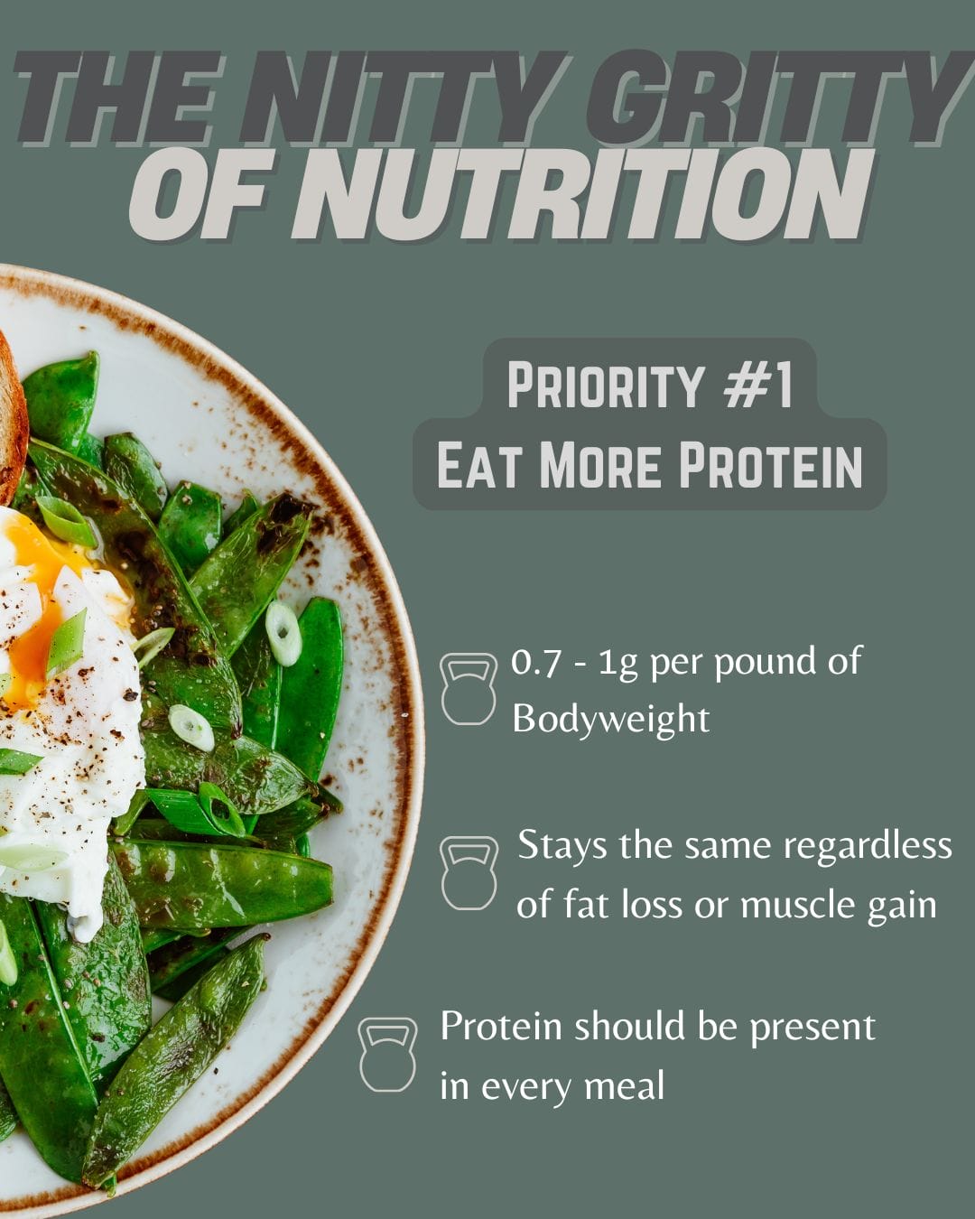 NittyGrittyofNurtrition MoreProtein